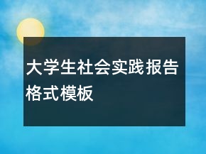 大學(xué)生社會實踐報告格式模板