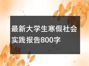 最新大學(xué)生寒假社會(huì)實(shí)踐報(bào)告800字