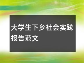 大學(xué)生下鄉(xiāng)社會實踐報告范文
