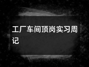 工廠車間頂崗實習周記