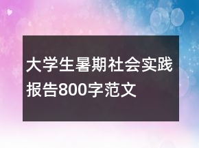 大學(xué)生暑期社會(huì)實(shí)踐報(bào)告800字范文
