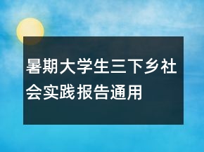 暑期大學(xué)生三下鄉(xiāng)社會實踐報告通用