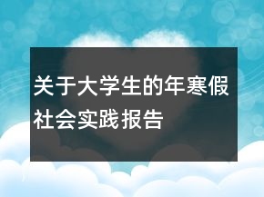 關(guān)于大學(xué)生的年寒假社會(huì)實(shí)踐報(bào)告