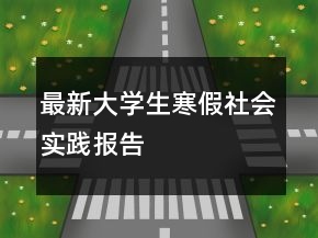 最新大學生寒假社會實踐報告