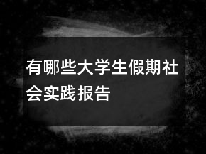 有哪些大學(xué)生假期社會(huì)實(shí)踐報(bào)告