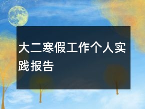 大二寒假工作個人實踐報告