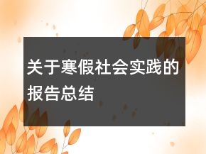關于寒假社會實踐的報告總結