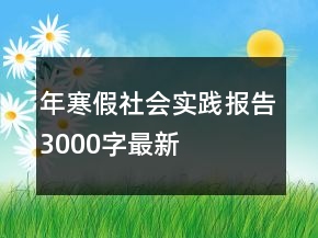 年寒假社會(huì)實(shí)踐報(bào)告3000字最新