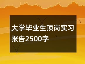 大學(xué)畢業(yè)生頂崗實(shí)習(xí)報(bào)告2500字