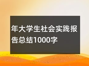 年大學生社會實踐報告總結(jié)1000字