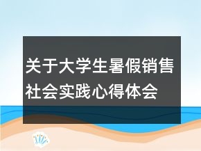 關(guān)于大學(xué)生暑假銷售社會(huì)實(shí)踐心得體會(huì)