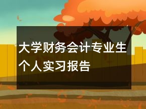 大學財務(wù)會計專業(yè)生個人實習報告