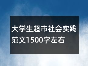 大學(xué)生超市社會實(shí)踐范文1500字左右