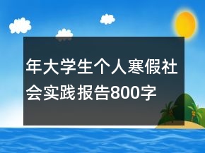 年大學(xué)生個(gè)人寒假社會(huì)實(shí)踐報(bào)告800字