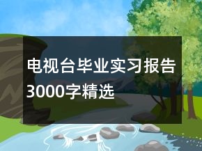 電視臺畢業(yè)實習(xí)報告3000字精選