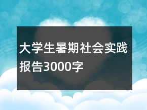 大學(xué)生暑期社會(huì)實(shí)踐報(bào)告3000字