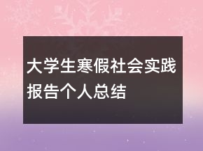大學生寒假社會實踐報告?zhèn)€人總結