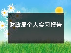 財(cái)政局個(gè)人實(shí)習(xí)報(bào)告