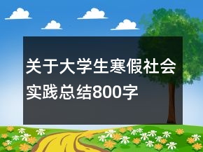 關(guān)于大學(xué)生寒假社會實(shí)踐總結(jié)800字