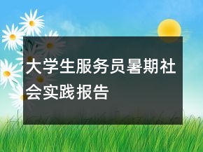 大學(xué)生服務(wù)員暑期社會實(shí)踐報(bào)告