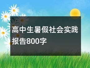 高中生暑假社會實踐報告800字