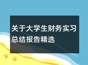 關(guān)于大學(xué)生財(cái)務(wù)實(shí)習(xí)總結(jié)報(bào)告精選
