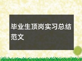 畢業(yè)生頂崗實(shí)習(xí)總結(jié)范文