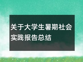 關(guān)于大學(xué)生暑期社會(huì)實(shí)踐報(bào)告總結(jié)