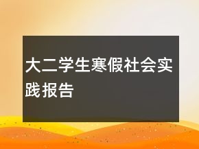 大二學生寒假社會實踐報告