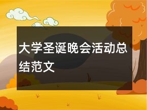 大學(xué)圣誕晚會(huì)活動(dòng)總結(jié)范文