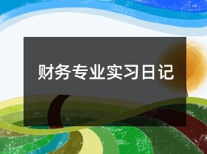 財(cái)務(wù)專(zhuān)業(yè)實(shí)習(xí)日記