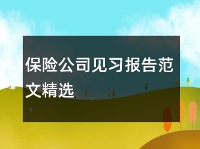 保險(xiǎn)公司見習(xí)報(bào)告范文精選