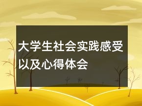 大學(xué)生社會實(shí)踐感受以及心得體會