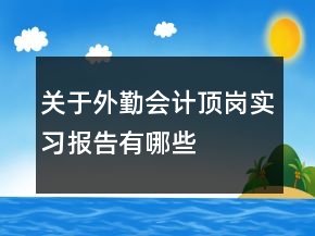 關(guān)于外勤會計頂崗實習報告有哪些