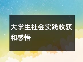 大學(xué)生社會(huì)實(shí)踐收獲和感悟
