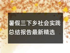 暑假三下鄉(xiāng)社會(huì)實(shí)踐總結(jié)報(bào)告最新精選