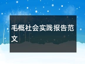 毛概社會(huì)實(shí)踐報(bào)告范文