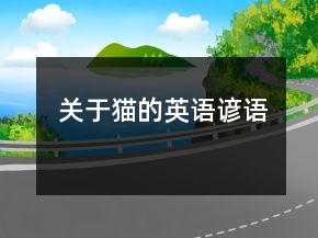 關(guān)于貓的英語諺語