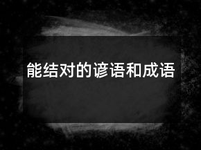 能結(jié)對的諺語和成語