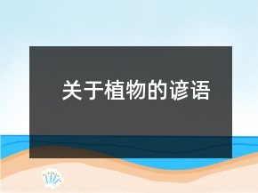 關(guān)于植物的諺語