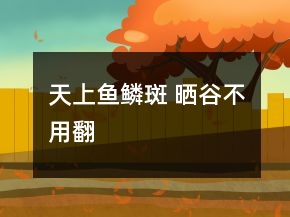 天上魚鱗斑 曬谷不用翻