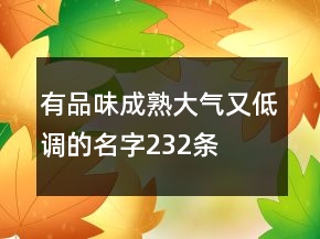有品味成熟大氣又低調(diào)的名字232條