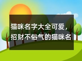 貓咪名字大全可愛，招財不俗氣的貓咪名字209條