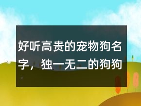好聽(tīng)高貴的寵物狗名字，獨(dú)一無(wú)二的狗狗名字238條
