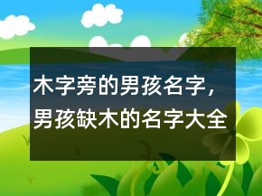 木字旁的男孩名字，男孩缺木的名字大全集245條