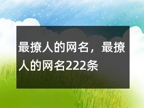 最撩人的網(wǎng)名，最撩人的網(wǎng)名222條