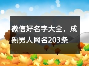 微信好名字大全，成熟男人網(wǎng)名203條
