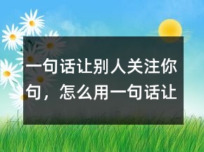 一句話讓別人關(guān)注你句，怎么用一句話讓我記住你211條
