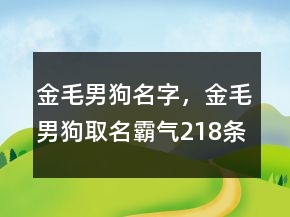 金毛男狗名字，金毛男狗取名霸氣218條