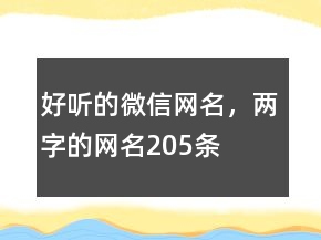 好聽的微信網(wǎng)名，兩字的網(wǎng)名205條